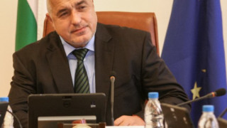 Пшеницата поскъпва, олиото пада