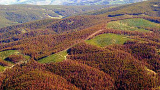 Марчело Липи вика трима нови за мача с България