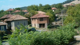 Кризата отмени хиляди полети