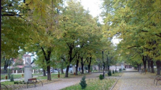 Връщат такси, събирани от спортуващи деца 