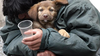 Френски кмет пусна наредба на български