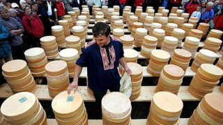 Искаме още 18 месеца отсрочка за млечните ферми