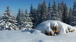 Сняг покри Витоша