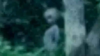 Заснеха извънземен в амазонската джунгла (ВИДЕО)