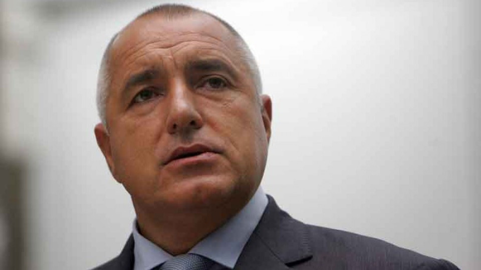 Бойко откри пътен възел с делфинариум | StandartNews.com