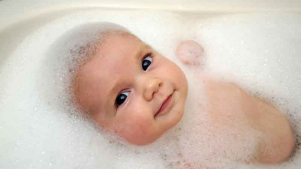 "Шейново" пуска Babybook | StandartNews.com