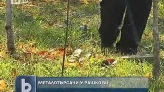 Търсят злато в двора на Цар Киро