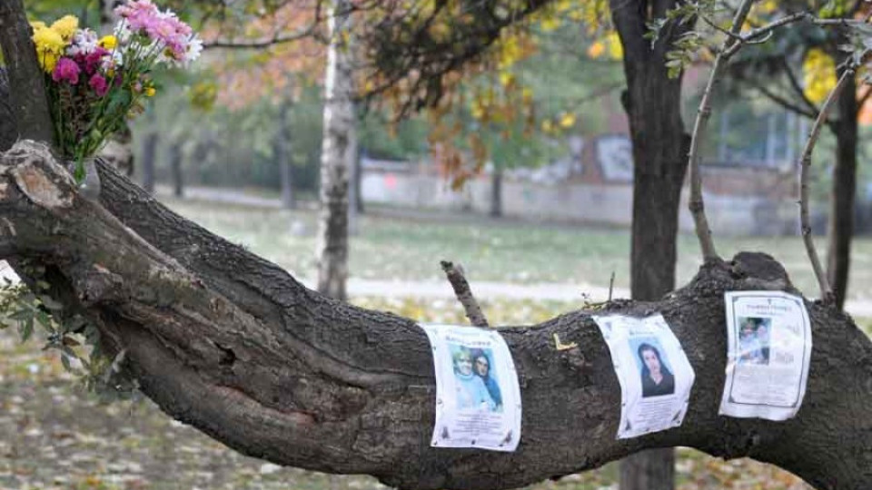 Обвиниха прокурорски син за катастрофа с две жертви | StandartNews.com