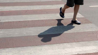 Полицаи дават дежурства до зебрите