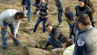 Тийнейджъри залесяват парк в Кърджали 