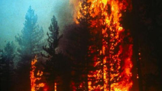 Два горски пожара вдигнаха на крак огнеборците