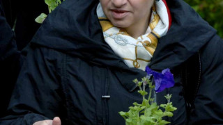 Плугчиева купува злато за второ внуче
