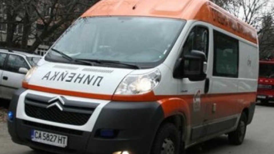 Петокласниците писаха за Хитър Петър на матурите | StandartNews.com