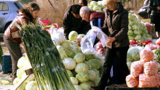 Градинари бутат оранжерии