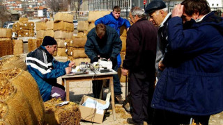 Изкупуват последните количества тютюн      
