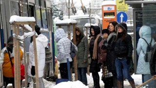 Опразват цели автобуси с гратисчии