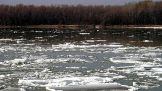 Ледоход тръгна по Дунав