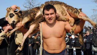 Борец спечели коч и мавруд