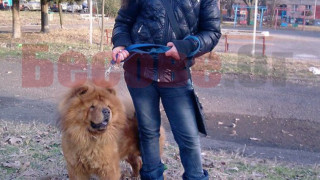 14 месеца затвор за жената, прегазила Валя на зебрата