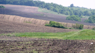 Нивите в Косово бъкат от отрови