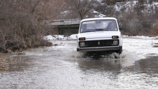 Щерка прати водолази да търсят родителите й