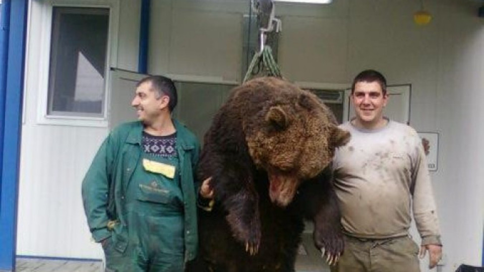 Мъж взриви Фейсбук, снима се до убита мечка със сина си | StandartNews.com