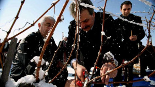 Руският посланик заряза лозята на Вила Любимец