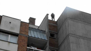 Психично болен разби покрива на блок