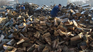На борсата вече се търгува дървесина  