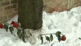 Маршрутка премазала студентка навръх Св. Валентин