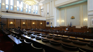 Алтернативна комисия разследва случая "Мирослава"