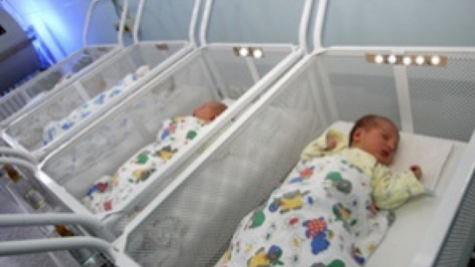 Тризнаци се родиха в Монтана | StandartNews.com