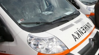 Инфаркт покоси коняр в Благоевград