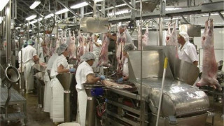 Санкт Петербург спря 20 тона овче месо от България
