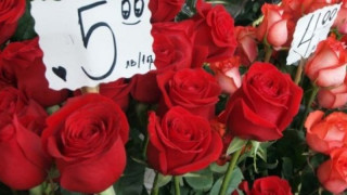 Само розата скочи двойно преди 8 март, засега
