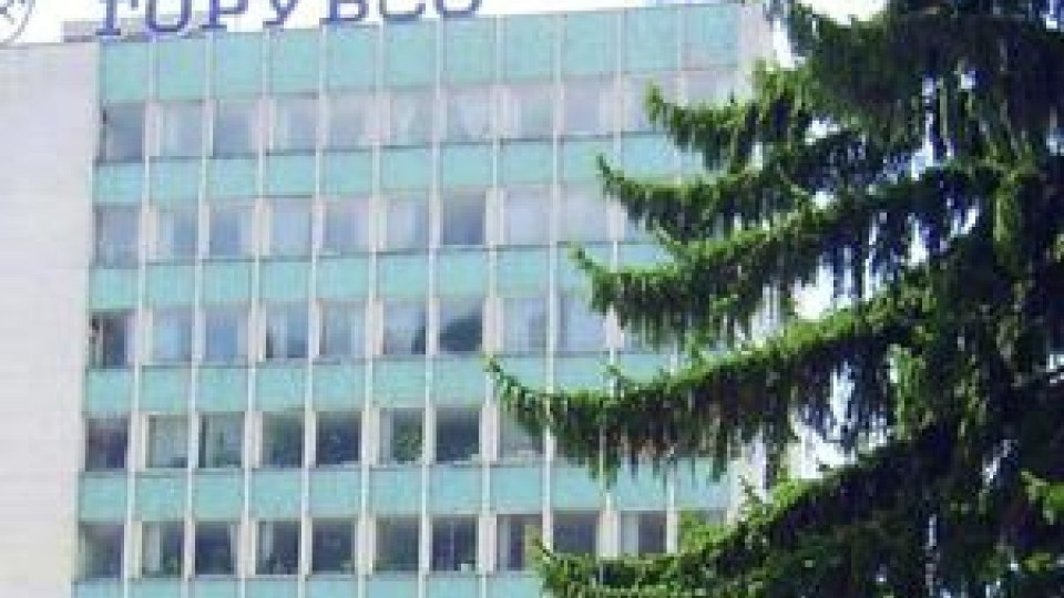"Горубсо" като коледна елха | StandartNews.com