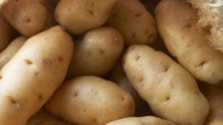 Връщаме на Полша 22 тона контрабандни картофи