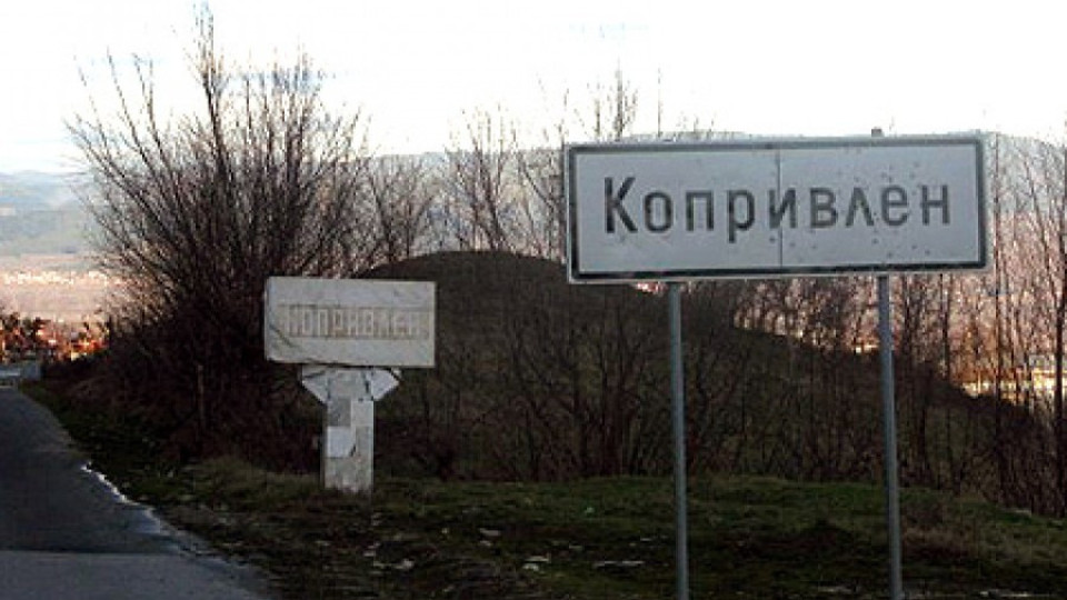 Бивш митничар ще командва Копривлен | StandartNews.com