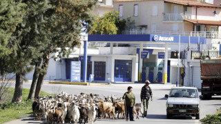 Гърция фалира до края на годината