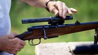 Погват бракониери, убили 4 бременни кошути
