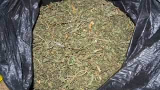 Спипаха петима с килограм и половина марихуана