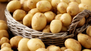 Сърница плаши Найденов: Изхвърляме картофите