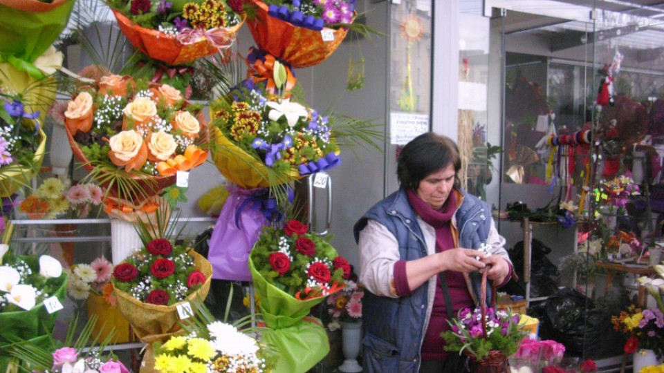 Сменяме лалетата с нарциси | StandartNews.com