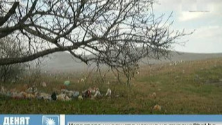 Пращат фотосесия с боклук на Нона Караджова