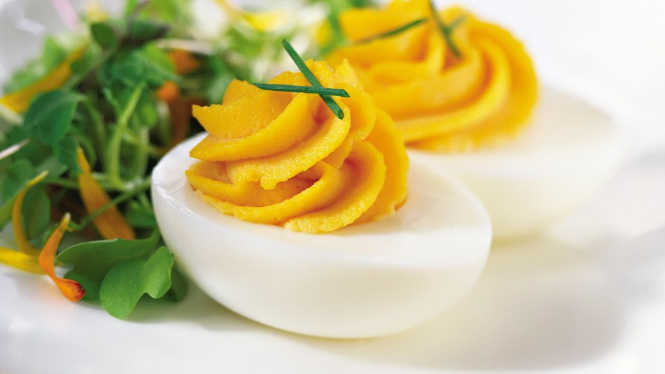 Няколко отлични рецепти за салати и предястия с яйца | StandartNews.com