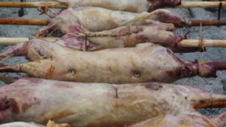 Великден в Гърция - яки бонуси и пълни трапези