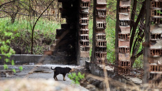 Откриха разчленен труп в "Люлин"