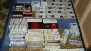 Спипаха за седмица четвърт млн. къса цигари менте