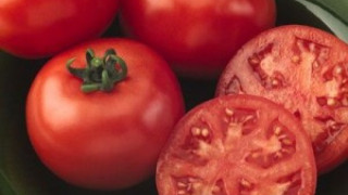 Ядем свежи и чисти родни домати