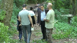 Оглеждат за още дървета-убийци в Шумен 